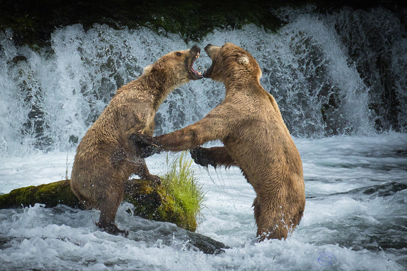 Fight at the Falls